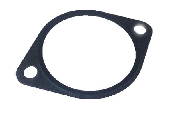 DB7 6 Cyl Thermostat Housing Gasket