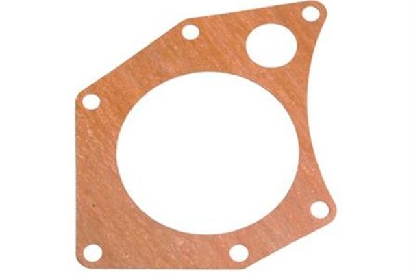 Water Pump Gasket