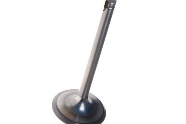 Exhaust Valve