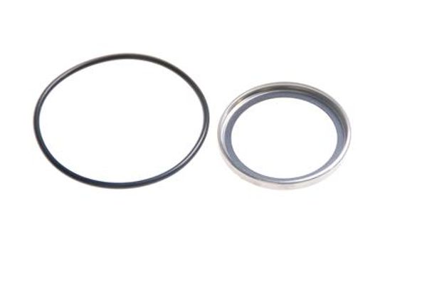 Thermostat Seal Kit