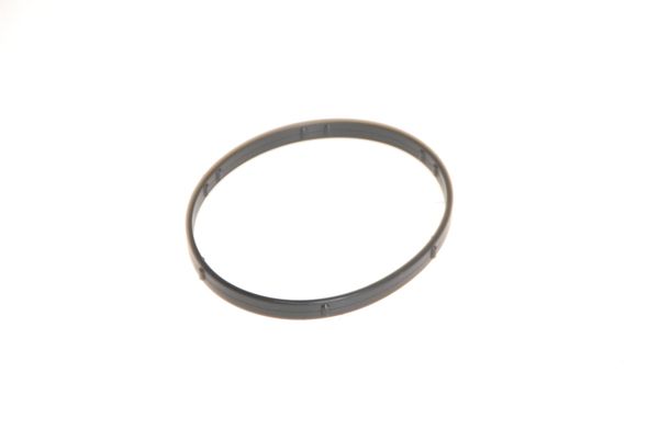 Thermostat O-Ring