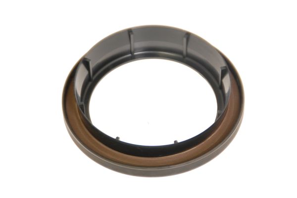 Rear Crankshaft Seal