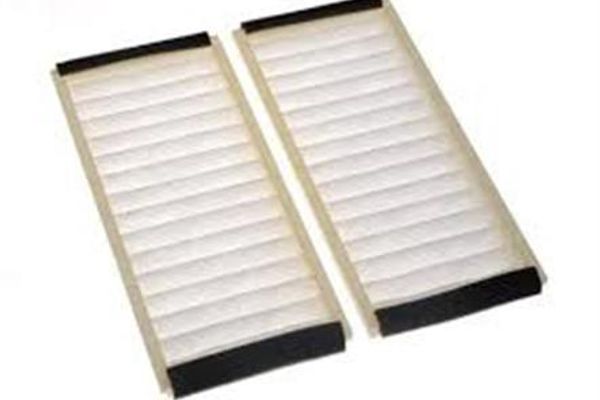 Pollen Filters (Pair)